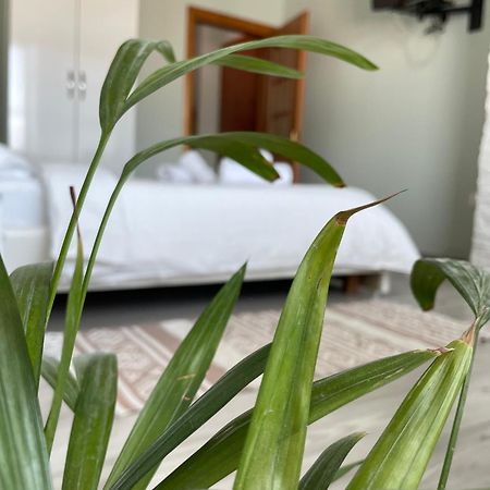 Agroni Rooms تيرانا المظهر الخارجي الصورة
